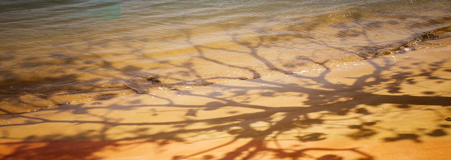 decoration: water shadow sand